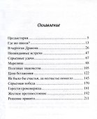 Лабиринты чужих земель. Непредвиденный результат - 2