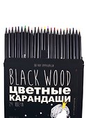 Карандаши цветные «BlackwoodColor», Bruno Visconti, 24 цвета, в ассортименте - 2