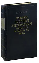 Очерки русской литературы конца XIX и начала XX века
