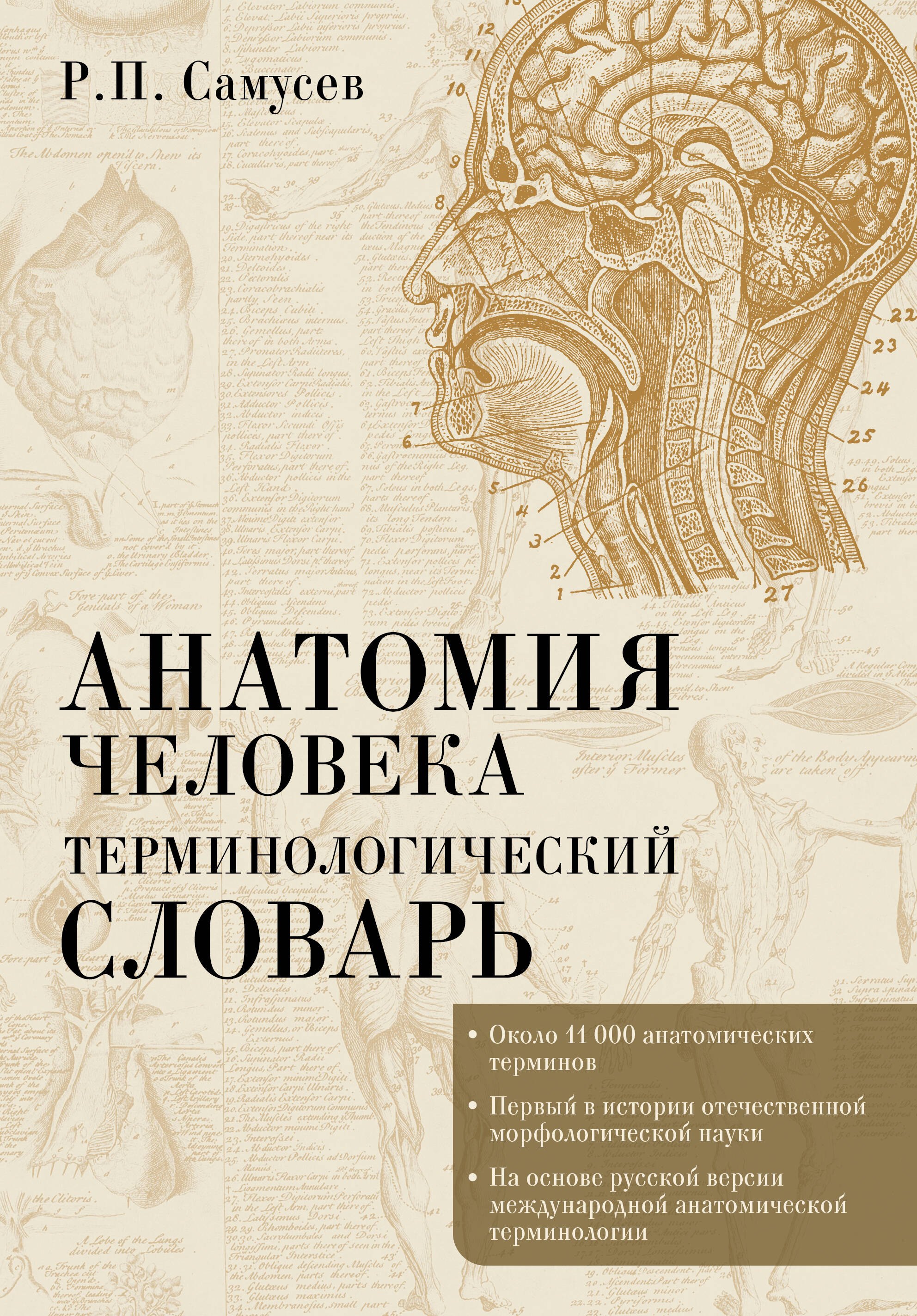 

Анатомия человека.Терминологический словарь