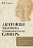 Анатомия человека.Терминологический словарь - 0