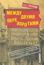 Между двумя переворотами. Документальные свидетельства о событиях лета 1917 года в Петрограде (по французским и российским архивным источникам).