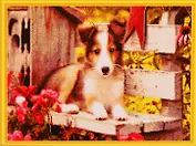 Алмазная мозаика ТМ Рыжий Кот (класс.) 40х50см (24цв) Собачки в саду AC4047