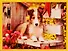 Алмазная мозаика ТМ Рыжий Кот (класс.) 40х50см (24цв) Собачки в саду AC4047 - 0
