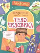 Тело человека