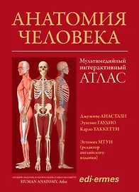 Анатомия человека: атлас