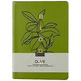 Ежедневник недат. А5 160л "Olive" зеленый, иск.кожа, интегр.переплет, тонир.блок, ляссе