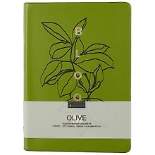 Ежедневник недатированный «Olive» А5, зелёный, 160 листов, экокожа, InFolio