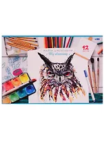 Альбом для рисования BG, "Мои рисунки", А4, 12 листов, на скобе, в ассортименте