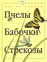 Пчелы бабочки стрекозы