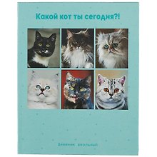 Дневник школьный «Какой ты кот?», для средних и старших классов, Listoff