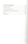 Чародей лжи - 2