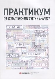Практикум по бухгалтерскому учету и анализу