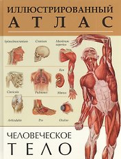 Человеческое тело. Иллюстрированный атлас