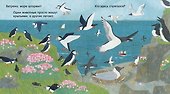 Книжка с окошками. У моря - 2