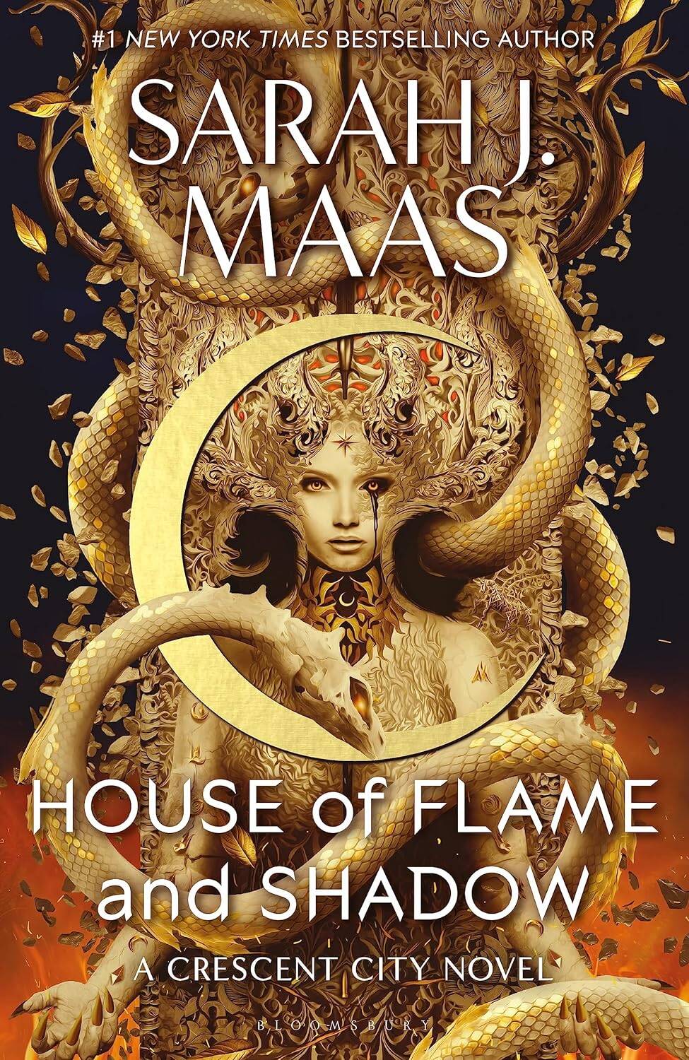 Обложка книги «House of Flame and Shadow»