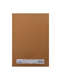 Бумага для пастели А4 "Mi-Teintes" 160г/м2 №502 гавана св., Canson