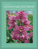 Лучшие комнатные растения: иллюстрированная энциклопедия