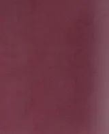 Тетрадь в клетку Listoff, "Бордовый бумвинил", 96 листов