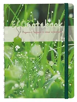 Тетрадь в клетку ЭКО, "Природа", А5, 120 листов