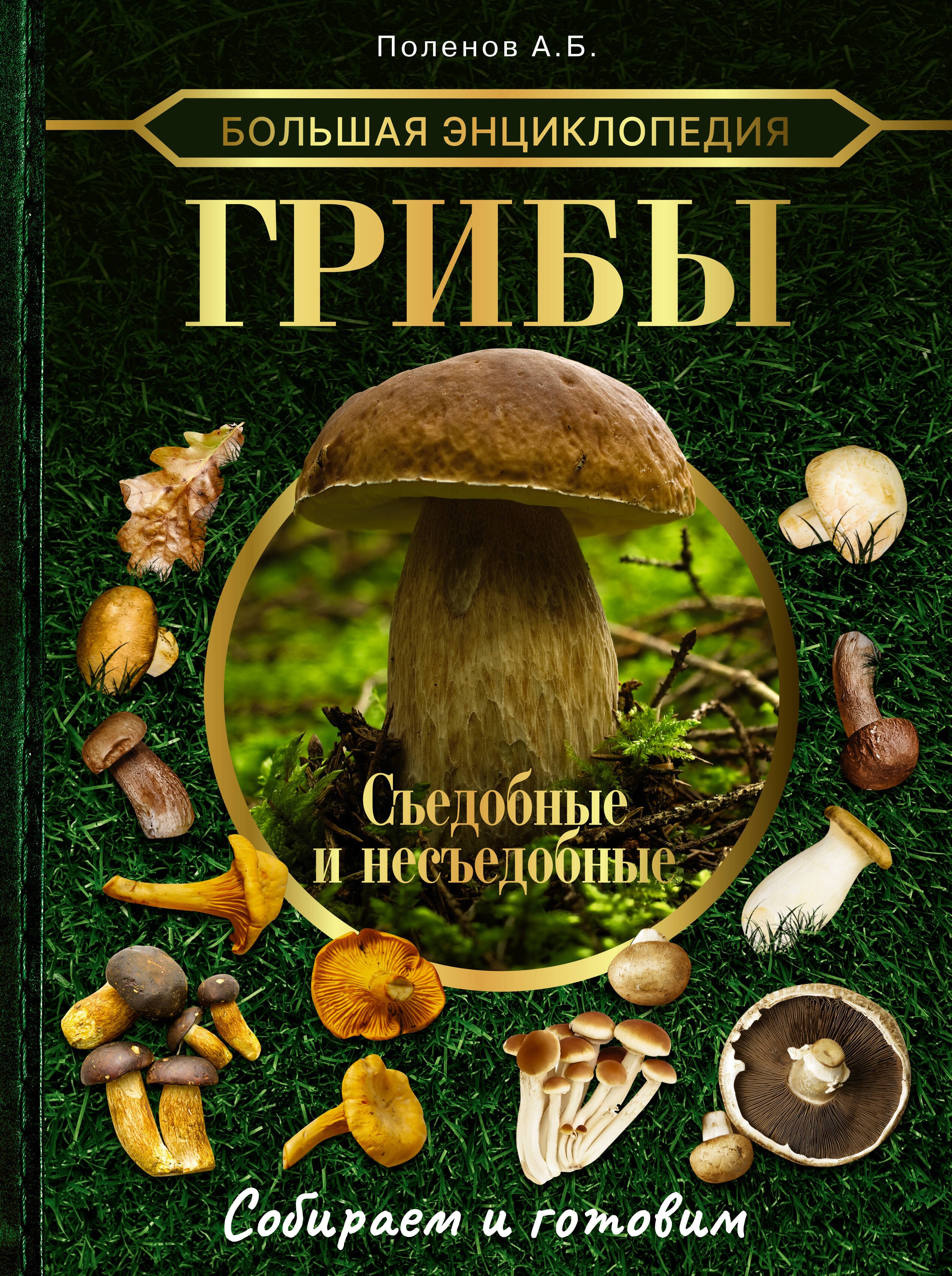 

Большая энциклопедия грибника. Съедобные и несъедобные. Собираем и готовим