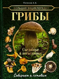 Большая энциклопедия грибника. Съедобные и несъедобные. Собираем и готовим