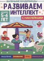 МАЛЕНЬКИЕ ВУНДЕРКИНДЫ. РАЗВИВАЕМ ИНТЕЛЛЕКТ 5-6 лет
