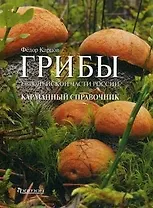Грибы Европейской части России