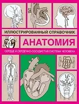 Анатомия.Сердце и сердечно-сосудистая система: Иллюстрированный справочник