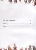 Щелкунчик и Мышиный король (илл. Пузыренко) Гофман - 2