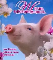 Жизнь в розовом цвете, или Почему хорошо быть девочкой