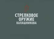 Стрелковое оружие Калашникова. Справочное издание