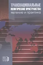 Транснациональные политические пространства: Явление и практика