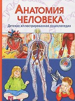 Анатомия человека. Детская иллюстрированная энциклопедия