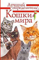Литература с видео-уроками