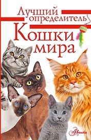 Литература с видео-уроками