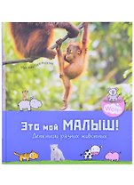 Это мой малыш! Детеныши разных животных