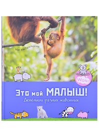 Это мой малыш! Детеныши разных животных