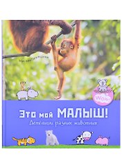 Это мой малыш! Детеныши разных животных