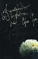 Вульгарность хризантем. Рассказы и эссе