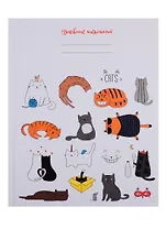 Дневник для средних и старших классов Unnika, "Забавные котята"