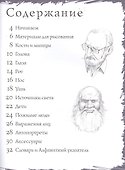 Портреты. Лица и головы. Тематические уроки "Как рисовать" - 1