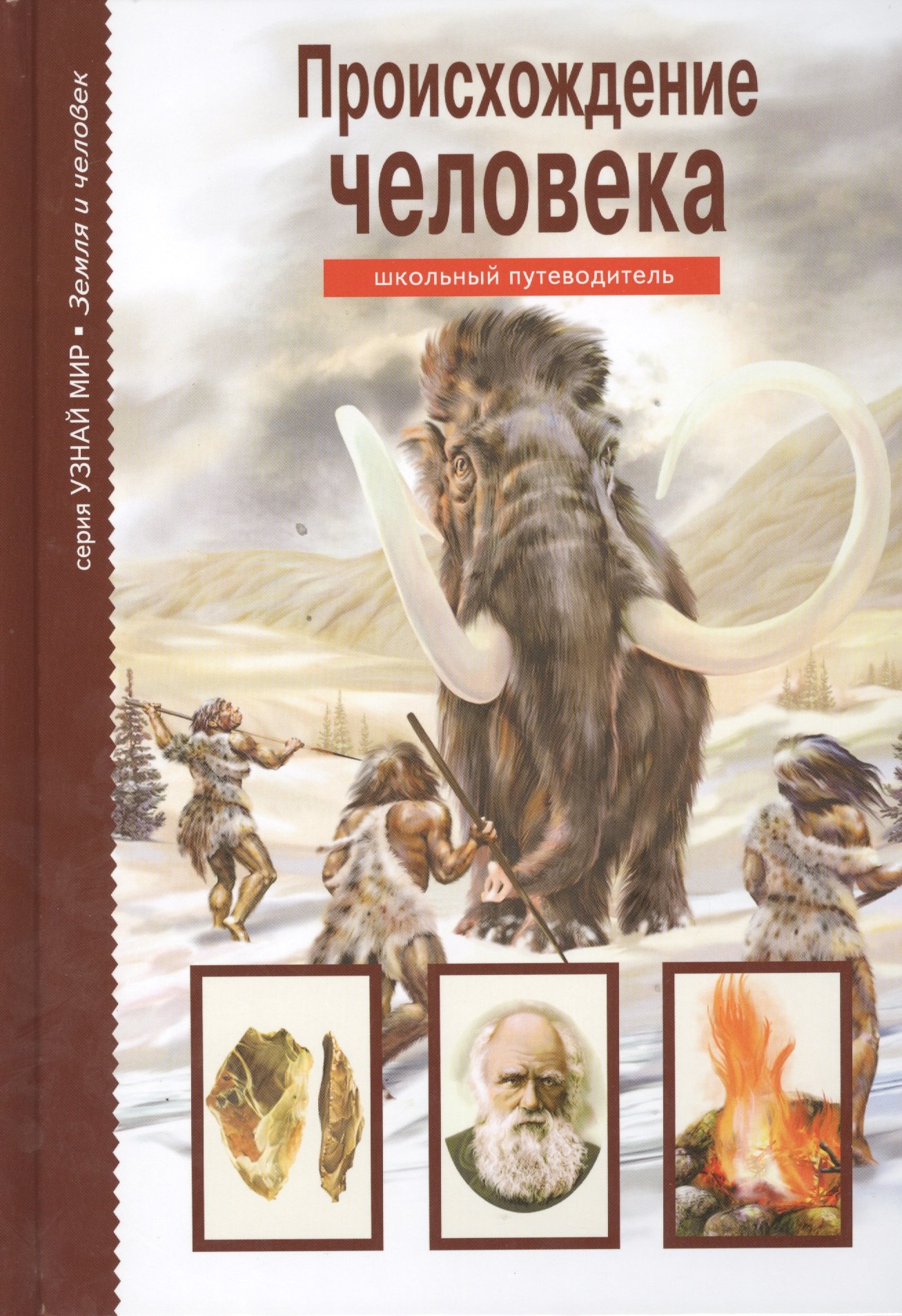 

Происхождение человека