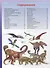 Мир динозавров.Энциклопедия для  девочек и мальчиков - 1