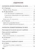 Литература. 8 класс. Учебное пособие. В семи частях. Часть 4 (для слабовидящих обучающихся). ФГОС 2021 - 1