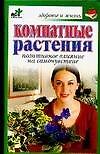 Комнатные растения: Позитивное влияние на самочуствие