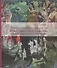Иконография модерна. Образы садов и парков в творчестве художников русского символизма - 0