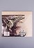 Гигантспинозавр S-J021 (1/120) (Сборная деревянная модель) - 1