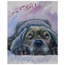 Картина по номерам на холсте с подрамником Мечтай (40х50 см) (29 цв) (662904) (коробка) (Остров сокровищ)
