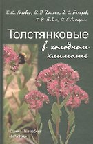Толстянковые в холодном климате